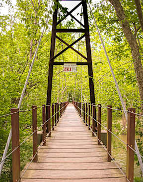 A wooden walkway leads to a sign that says "Walk".