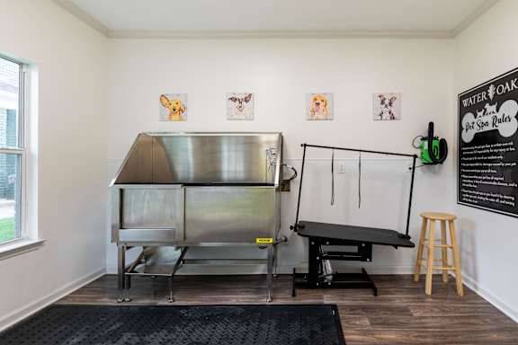 A room with a water oak pet spa and a dog grooming table.