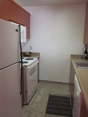 Interior View of Kitchen