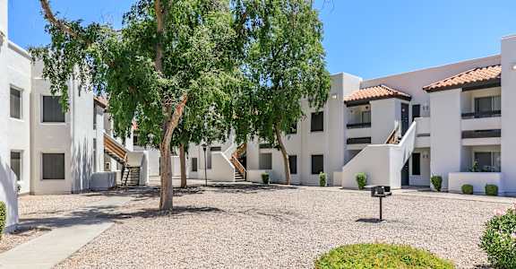 a courtyard with a tree in front of a building at Tides at Mesa, Mesa, AZ, 85204