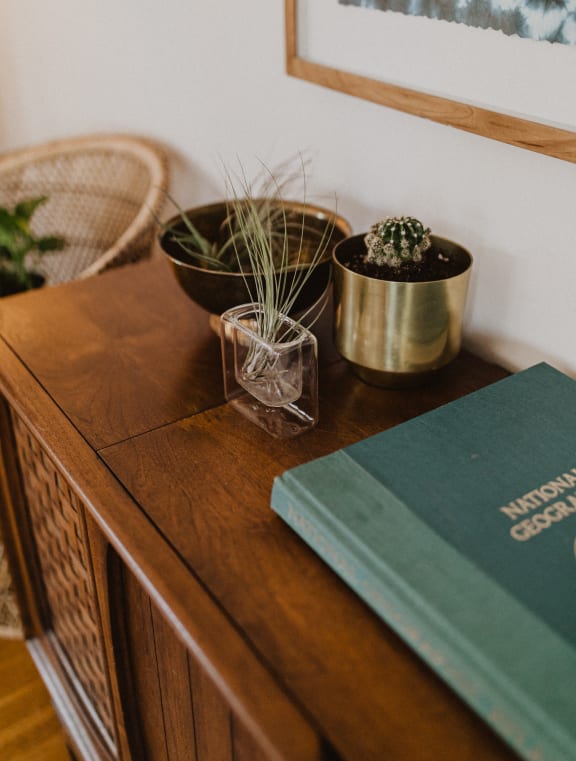 a wooden table with a book and plants on it