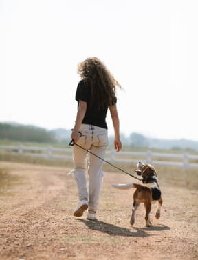 a woman walking her dog on a dirt road at Missouri Crossing, Phoenix, Arizona