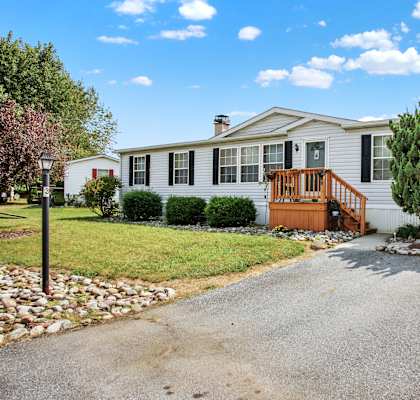 the front of the house with a driveway and a large tree in the front yard