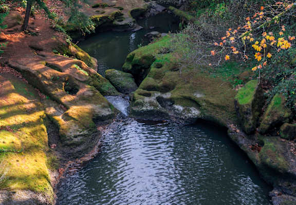 a river flowing through a forest with rocks and trees at Thrive at Green Mountain, Camas, WA, Washington  , 98607