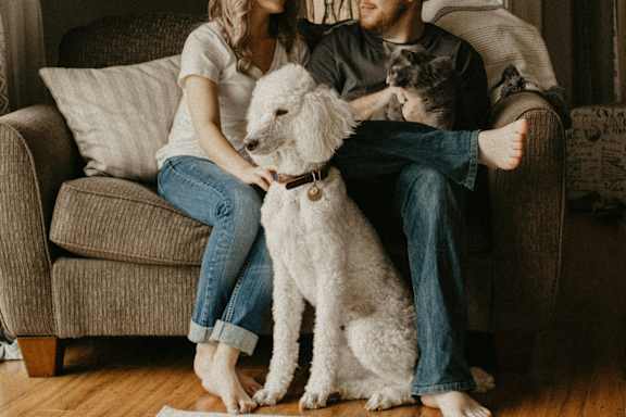 A couple sitting on a couch with a white dog and a cat.