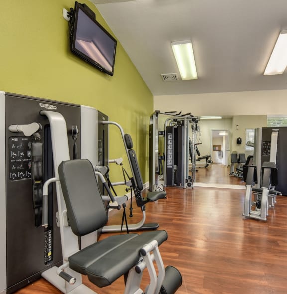 a gym with weights and cardio equipment on the floor and a painting on the wall