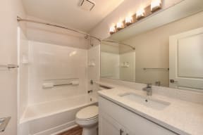 Bathroom with Vanity, Hardwood Inspired Floor, Toilet and Bathtub