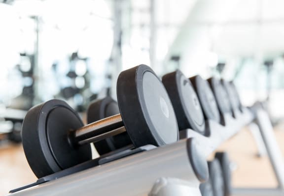 a row of dumbbells on a rack in a gym