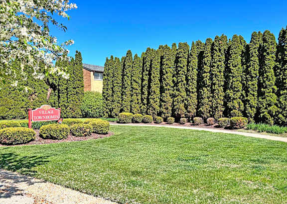 A row of tall trees are lined up in front of a building.