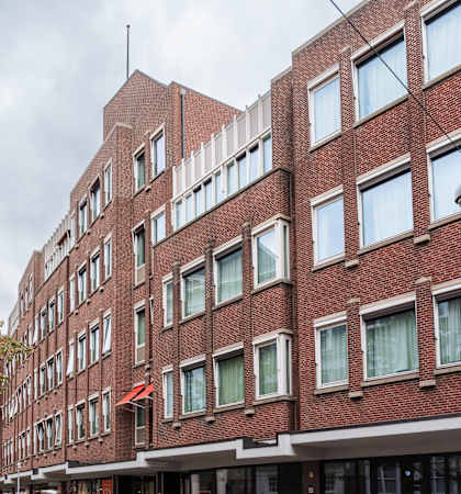 A tree is in front of a red brick building.