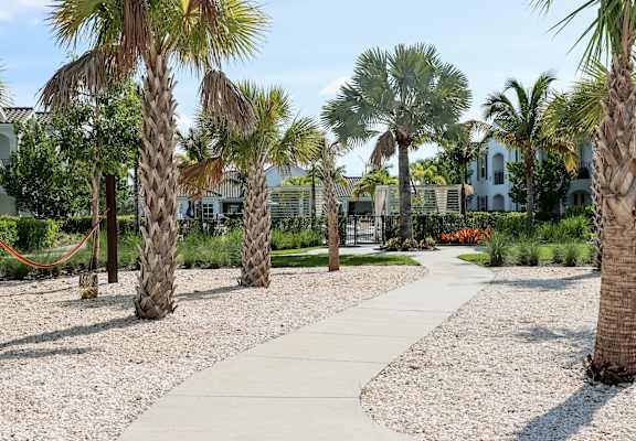 a walkway with palm trees and a house in the background at The Crest at Laurel Canyon Apartments, Naples
