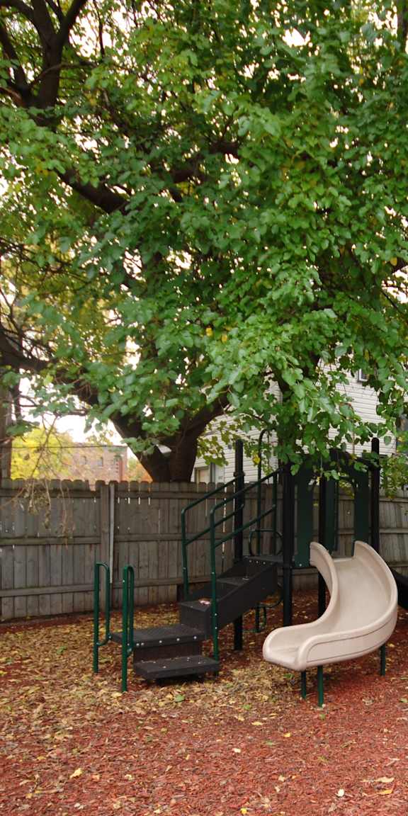 A backyard with a red mulch ground and a tree.