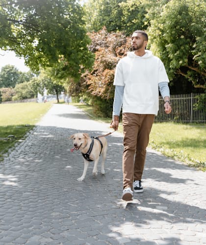 A man walking his dog on a sunny day.