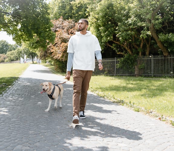 A man walking his dog on a sunny day.