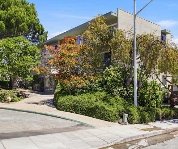 A tree with orange leaves is in front of a building.