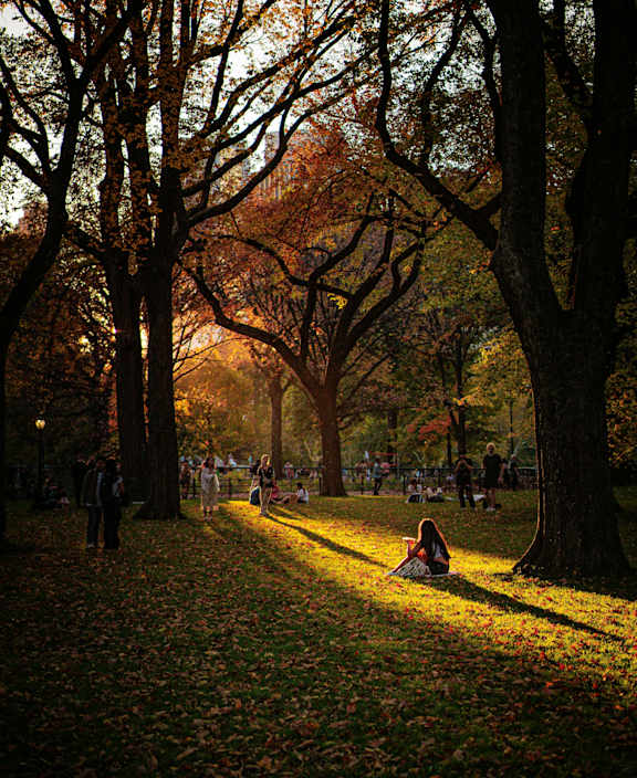 A park with people sitting on the grass.