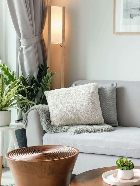 Gray couch with coffee table, plants, and pillows nect to window