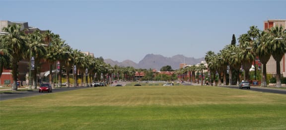 a park in the middle of a city street with palm trees