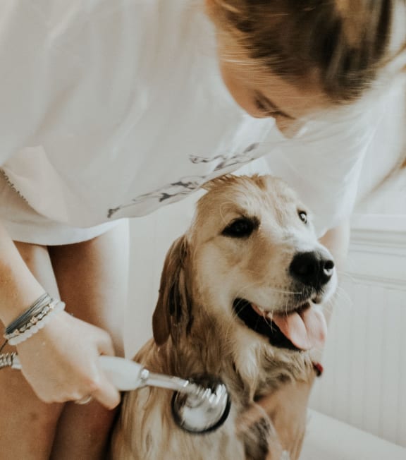 a woman giving a dog a bath in a tub