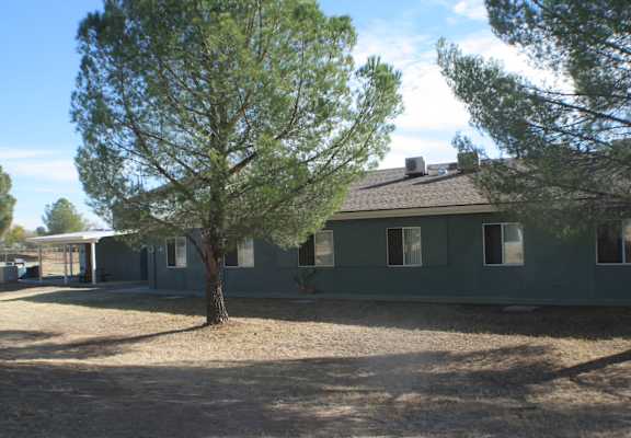 A green house with a tree in front of it.