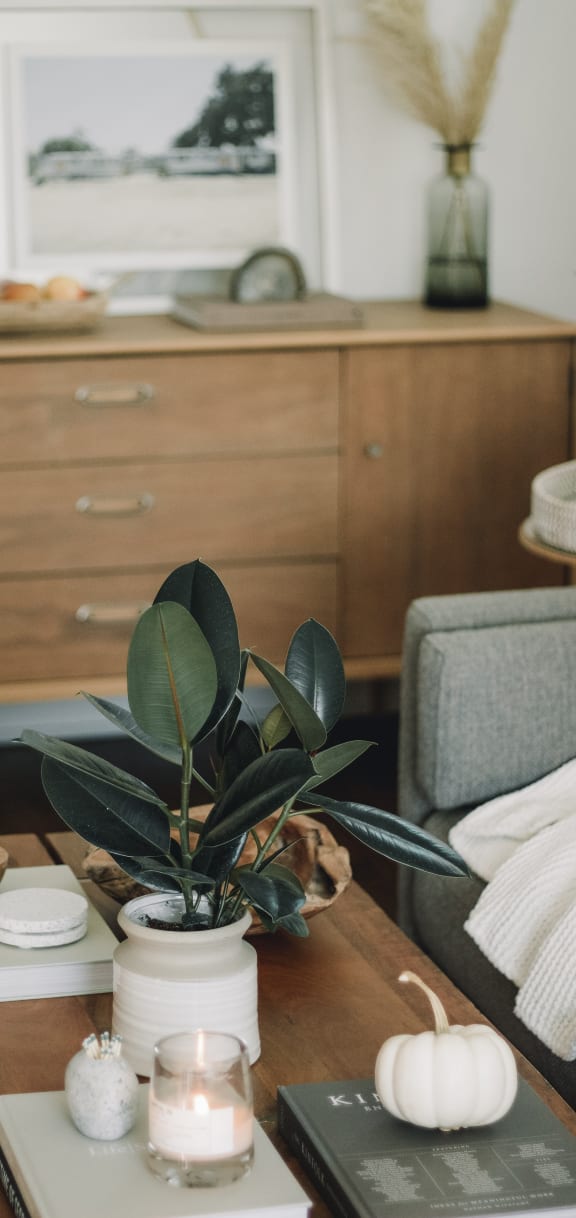 a living room with a coffee table and a dresser in the background
