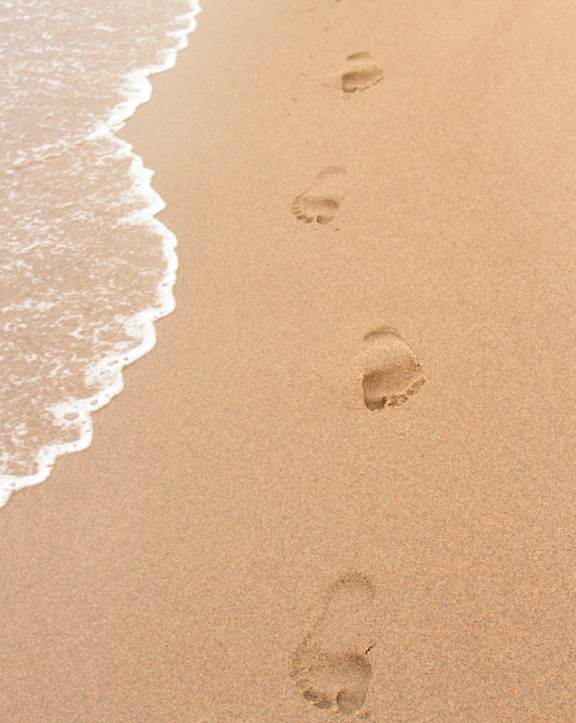 footprints in the sand on the beach