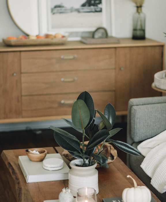 A table with a plant, candle, and pumpkin on it at Bridge City, Portland, 97236