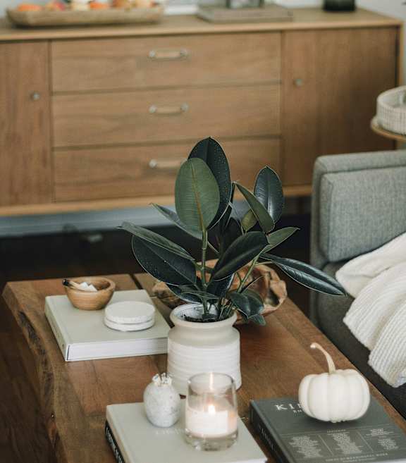 A table with a plant, candle, and pumpkin on it.