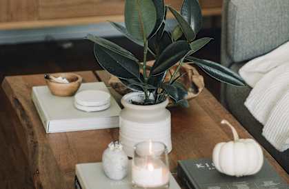 A table with a plant, candle, and pumpkin on it at Coast Pine