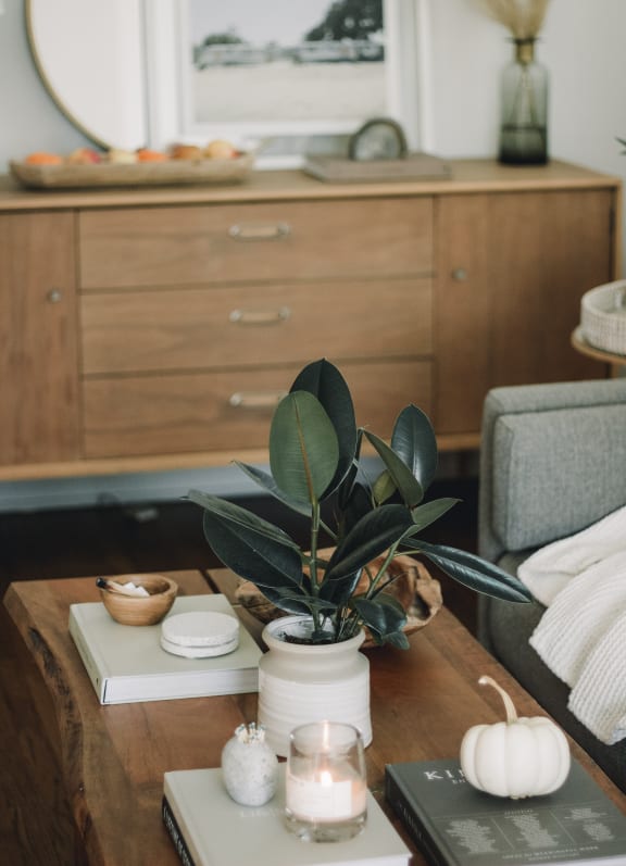 Dresser in living room with coffee table, plant, and trinkets