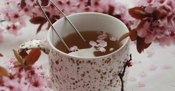 a cup of tea surrounded by cherry blossoms