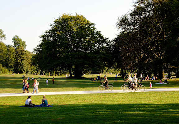 A group of people are riding bikes in a park.