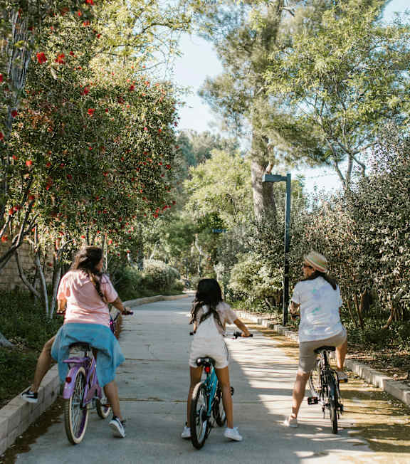 Three women riding bikes on a tree-lined path.