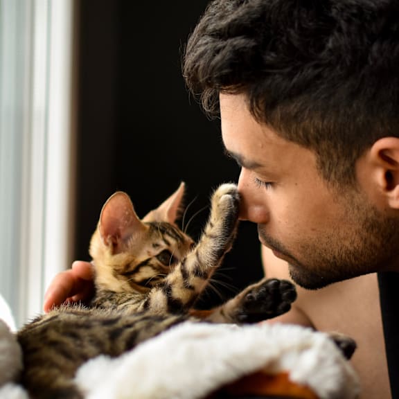 A man is holding a small kitten close to his face.