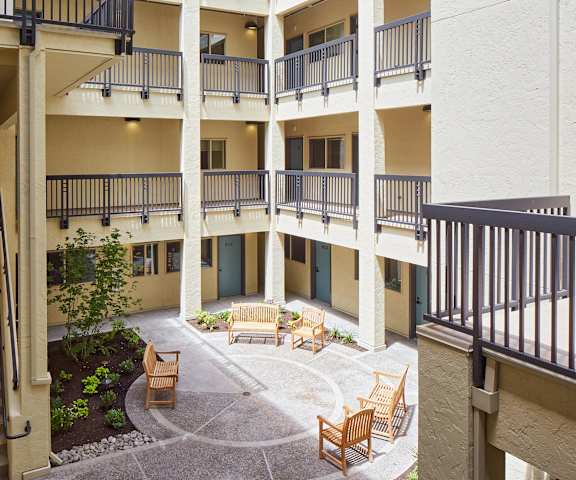 A courtyard with a bench and a tree in the middle of it.