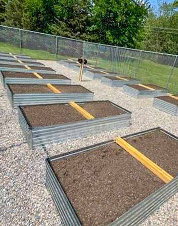 A number of raised garden beds are lined up in a row.