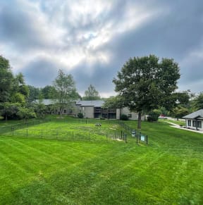 a large yard with a dog park and leasing office in the background