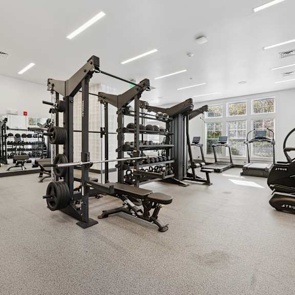 the gym is equipped with state of the art equipment