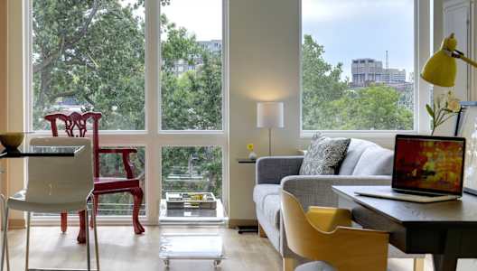 Flat D studio apartment at Coze Flats with desk nook, grey couch and red accent chair by the oversized window, tree top view