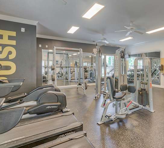 A spacious gym with treadmills, elliptical machines, and other exercise equipment.