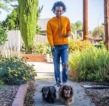 A woman in a yellow hoodie walks two dogs on a sidewalk.