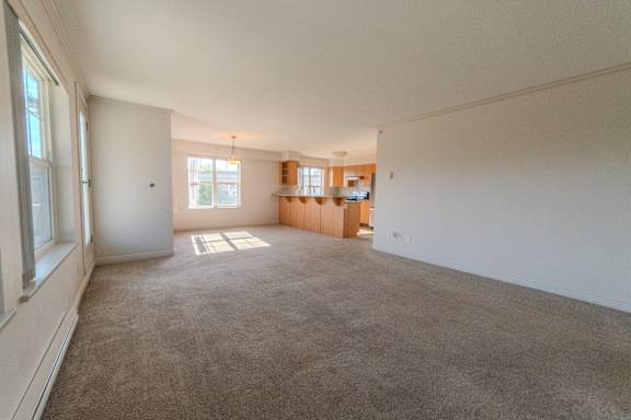 A large, empty room with a carpeted floor and a window on the left side.