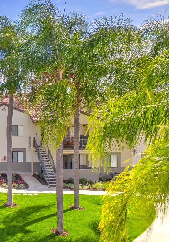 a building with palm trees in front of it