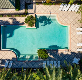 Pool at Brandywine Affordable Apartments in Tampa FL
