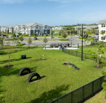 Pet Friendly at Everly Luxury Apartments in Naples FL