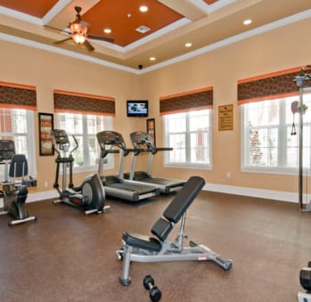 Professional Fitness Center at Grand Reserve Apartments in Zephyrhills, FL