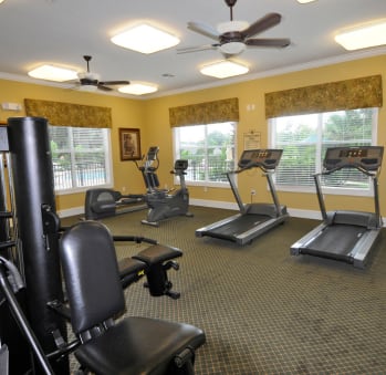 Fitness Center at Brook Haven Apartments in Brooksville, FL