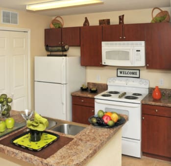 Kitchen at Hunt Club Apartments in Tampa FL