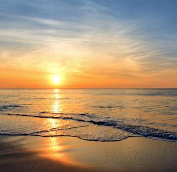 Honeymoon Beach at Sunset at  Dunedin Commons Apartment Homes in Dunedin, Florida, FL