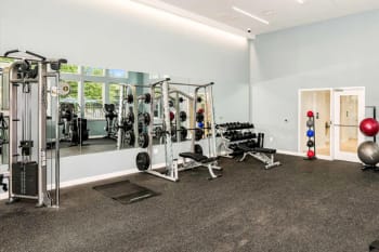 the gym is equipped with weights and cardio equipment
